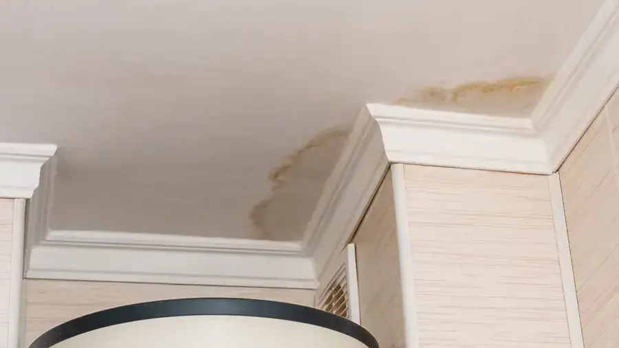 Brown water stain spreading across a ceiling and crown molding
